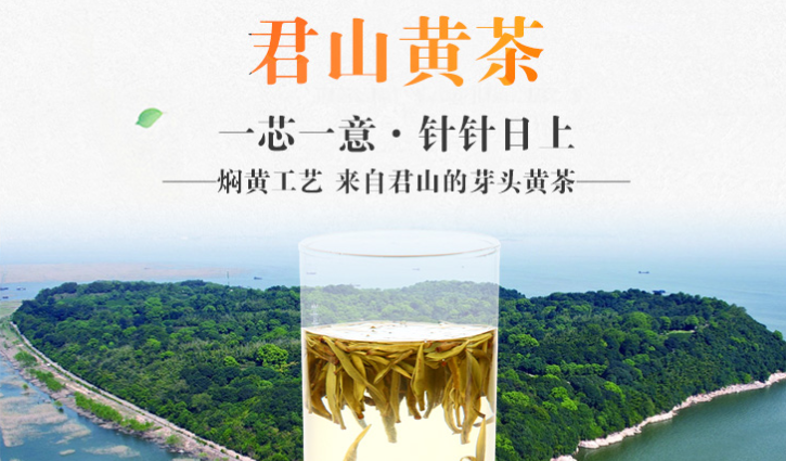 君山黃茶是什么茶_君山黃茶的五大功效與作用