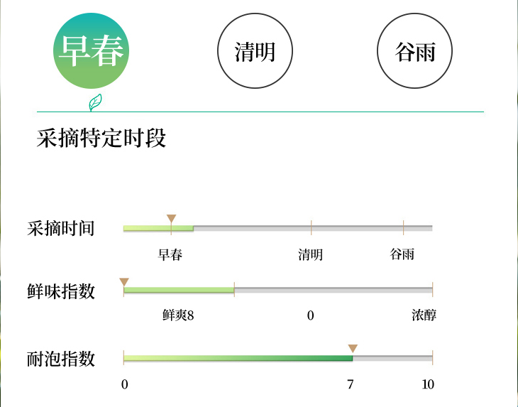 龍井茶幾月份最好？３月下旬