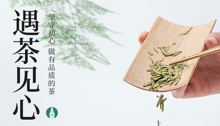 龍井茶幾月份最好？３月下旬