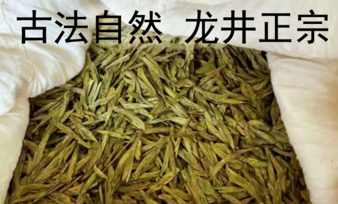 喝龍井茶綠茶的適宜人群？