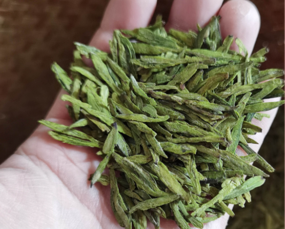 如何辨別名茶龍井茶好壞？