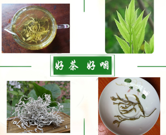 虎山黃茶的功效與作用及禁忌