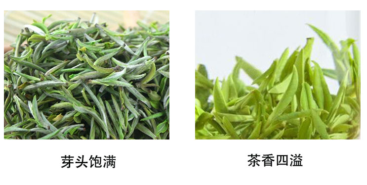 【綠茶】黃山毛峰茶泡出來(lái)顏色淺