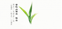 普陀佛茶的春茶價(jià)格是多少錢(qián)？（收藏）