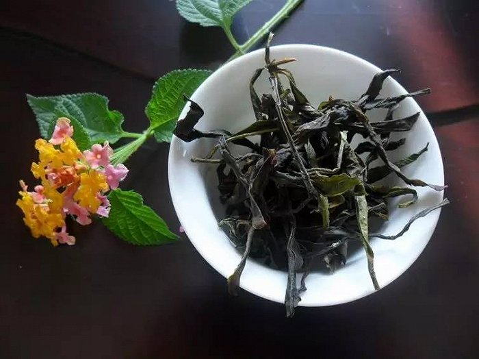 鳳凰單樅茶葉介紹(鳳凰單樅茶圖片)