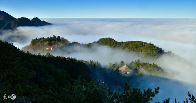 中國十大名茶之——廬山云霧茶