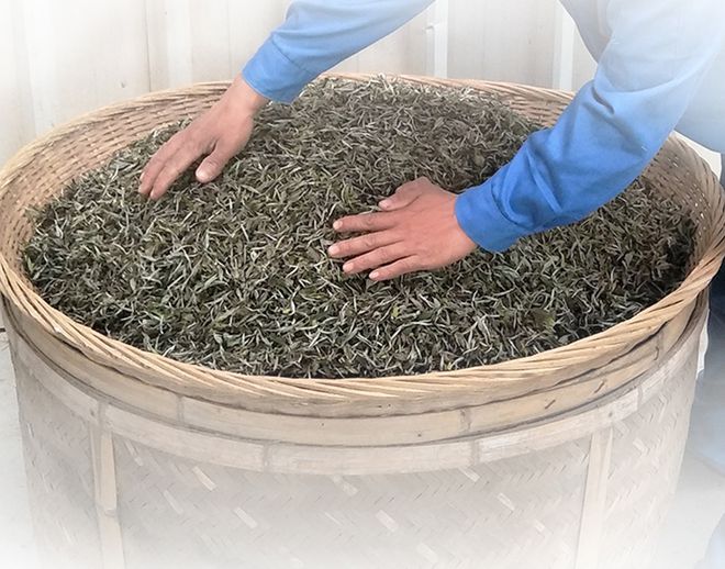 茶葉界3大“便宜茶”，不懂行嫌檔次低行家卻愛喝，有你喜歡的