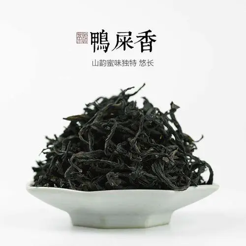 鴨屎香是什么茶（鴨屎香是什么茶?）