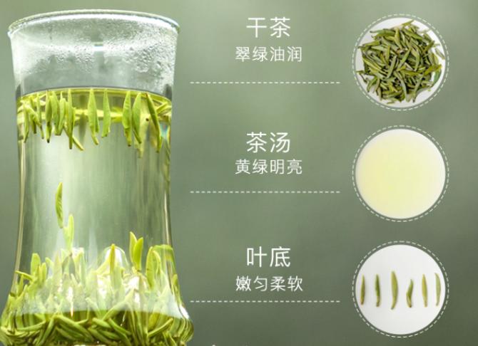 位于綠茶頂端的四款名優(yōu)茶，都有誰？