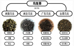  烏龍茶都有哪些品種？（ 烏龍茶都有那