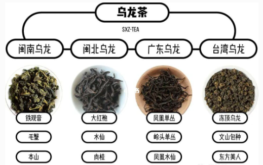  烏龍茶都有哪些品種？（ 烏龍茶都有那些？）