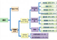 【茶知道】茶葉的主要成分和功效