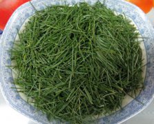 茶知識(shí)-松針茶為什么不能多喝？（松針茶