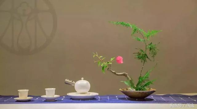 【茶知道】茶席布置圖片