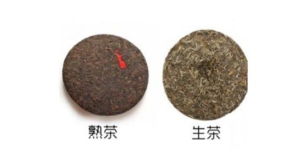 【茶知識】普洱茶生茶與熟茶的七大區(qū)別