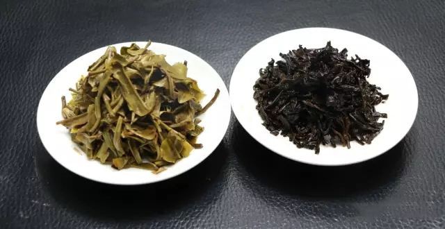 【茶知識】普洱茶生茶與熟茶的七大區(qū)別