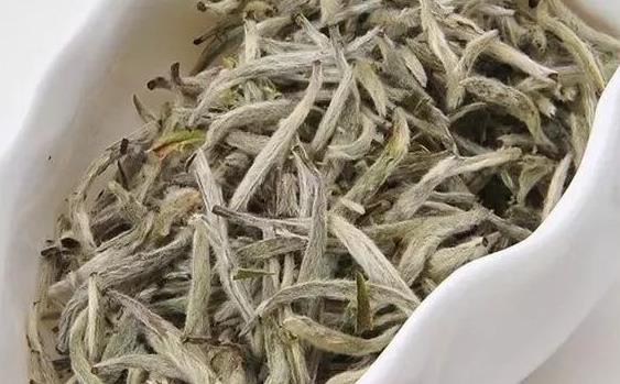 福鼎白茶茶餅和散茶有什么區(qū)別？（收藏）