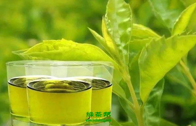 【茶知識(shí)】哪些茶能抗癌？茶為何能抗癌？