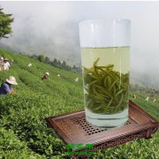 天柱山茶什么檔次？天柱山茶怎么喝好？