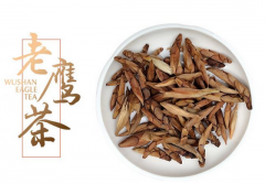 老鷹茶多少錢一斤 今年老鷹茶的最新報(bào)價(jià)