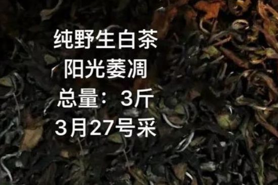 朋友圈賣茶葉廣告詞，朋友圈茶葉推銷怎么寫？