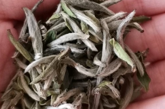 如何買茶葉不上當(dāng)，怎么買茶葉不被坑？