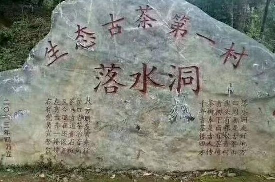 易武七村八寨 易武正山是哪里？