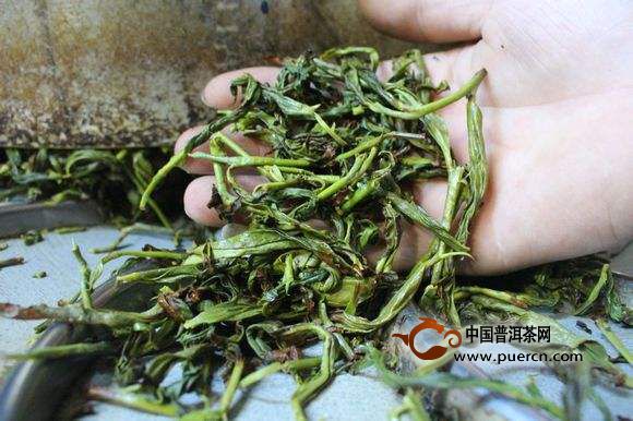 解析鳳凰單樅茶獨(dú)特的采制工藝（收藏）