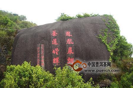 潮州鳳凰單叢茶獨(dú)特“山韻”的成因（收藏）