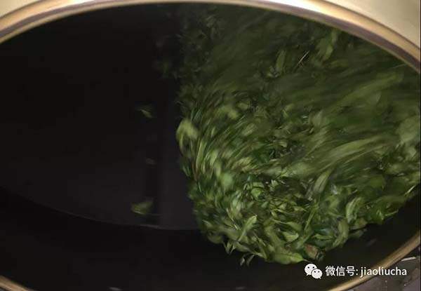 鳳凰單叢茶：以香型眾多“獨孤求拜”？制作工藝繁復？（收藏