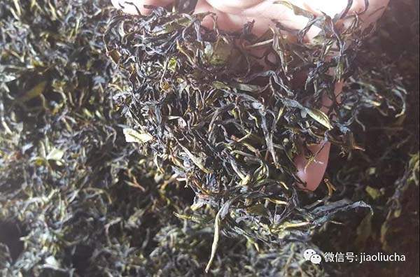 鳳凰單叢茶：以香型眾多“獨孤求拜”？制作工藝繁復？（收藏