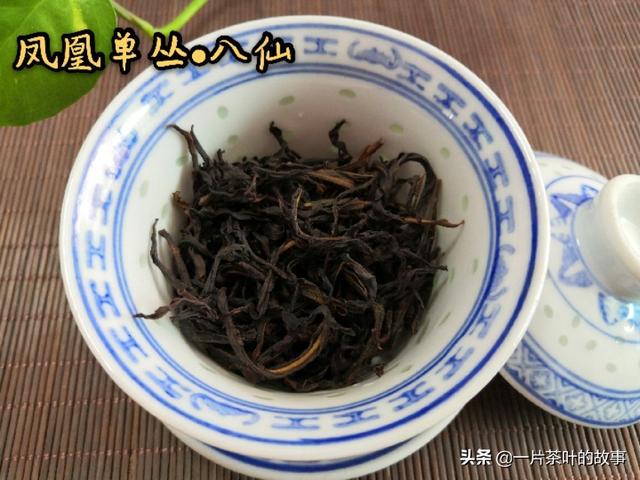 鳳凰單叢茶品鑒要點(diǎn)（收藏）