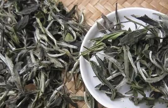 白茶屬于紅茶還是綠茶？