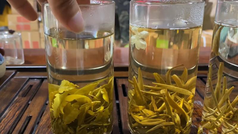 茉莉花茶的功效和作用？