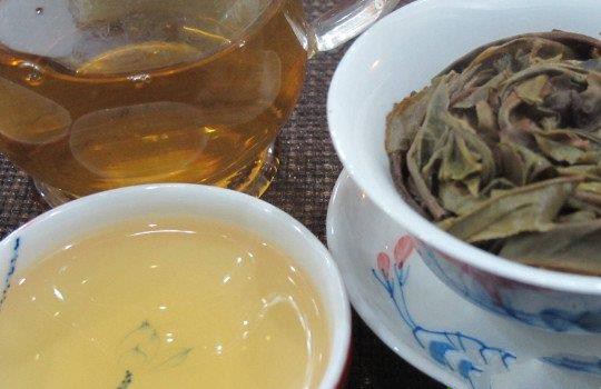 曼松古樹茶是哪個茶區(qū)？