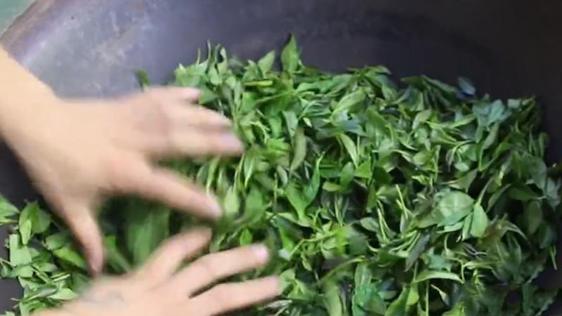 制作茶葉的基本步驟？