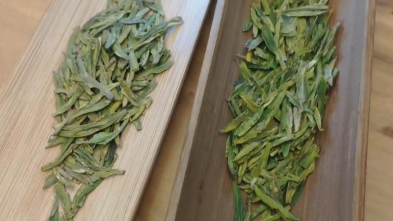 龍井正確的泡茶七個(gè)步驟？