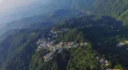 易武高山寨古樹茶特點_高山寨有易武保存最好的古樹茶林