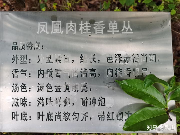 鳳凰單叢茶十大香型