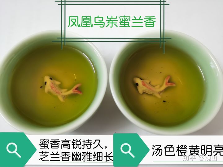 鳳凰單叢茶十大香型