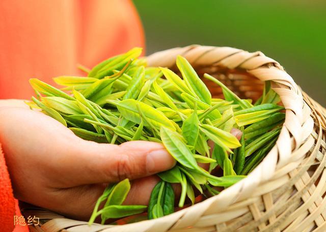 茶是世界三大飲料，國(guó)外茶葉種類你知道多少？