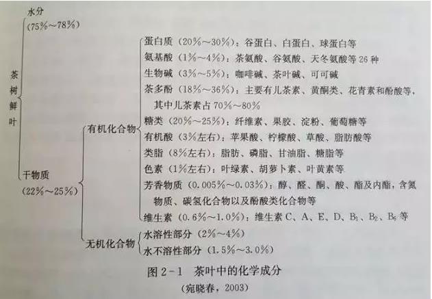 品質(zhì)成分與保健功效研究-白茶的功效