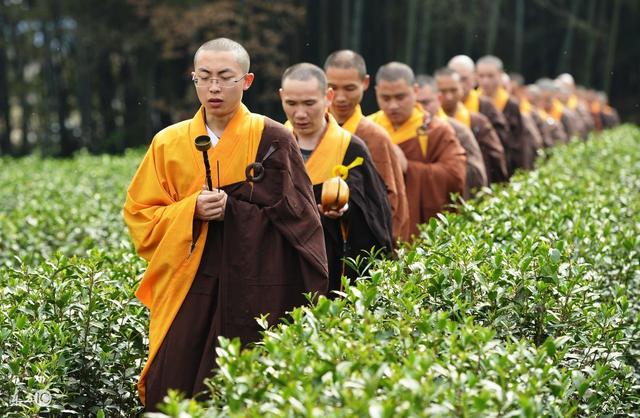 中國是茶和茶文化的故鄉(xiāng)，中國人的一生，還真少不了茶