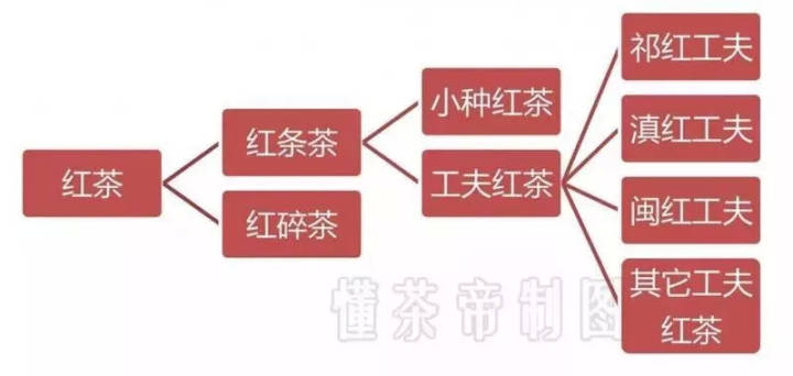 紅茶全喝過？這種你絕對沒喝明白！