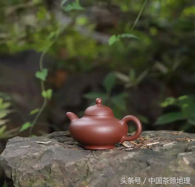 古人：“春茶苦，夏茶澀，要好喝，秋白露”