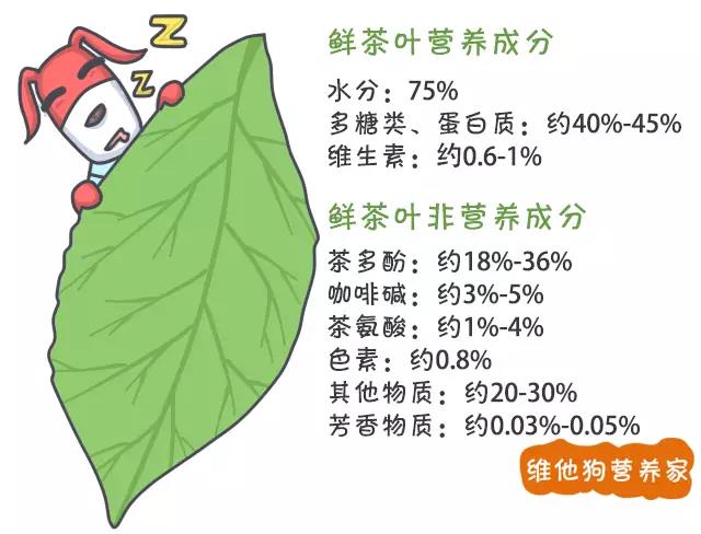 茶藝師都未必說得清楚的茶葉知識，幾張圖讓你秒懂（中秋送禮