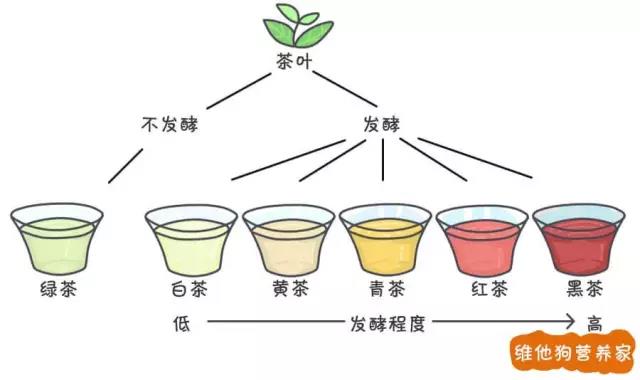 茶藝師都未必說得清楚的茶葉知識，幾張圖讓你秒懂（中秋送禮