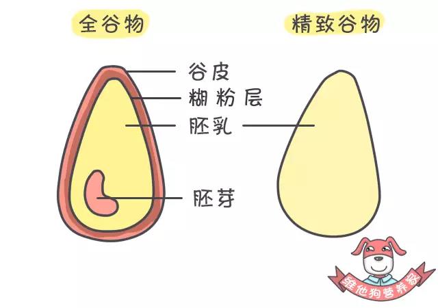 養(yǎng)生不止眼前的枸杞，還有它，這么吃健康又減肥