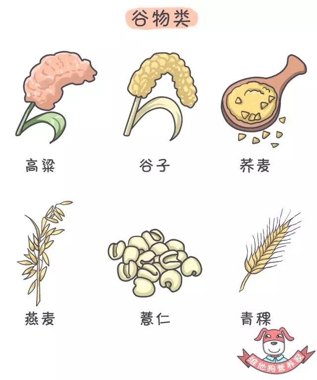 養(yǎng)生不止眼前的枸杞，還有它，這么吃健康又減肥