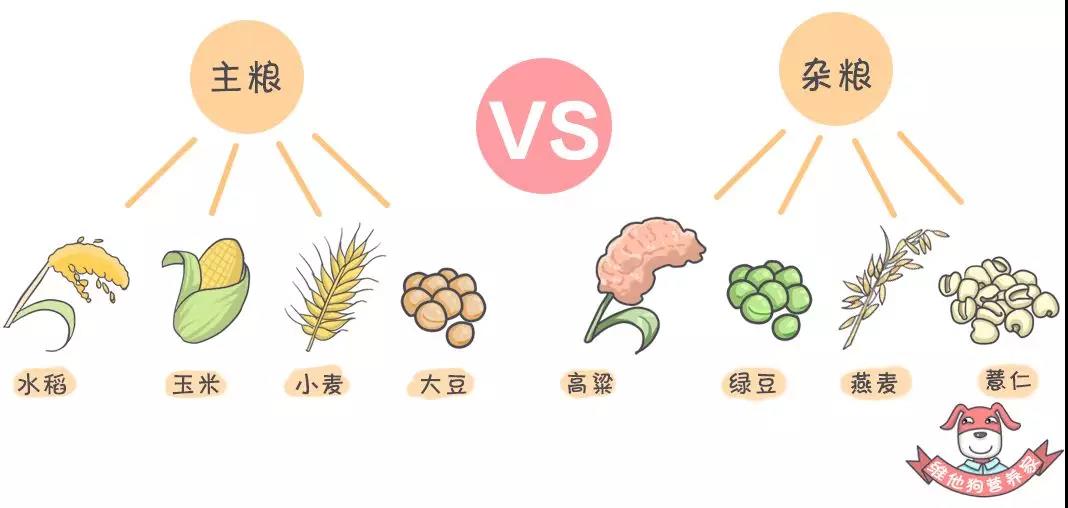 養(yǎng)生不止眼前的枸杞，還有它，這么吃健康又減肥